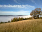 Autunno in Valle Bormida e dintorni